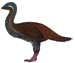 Gargantuavis philoinos