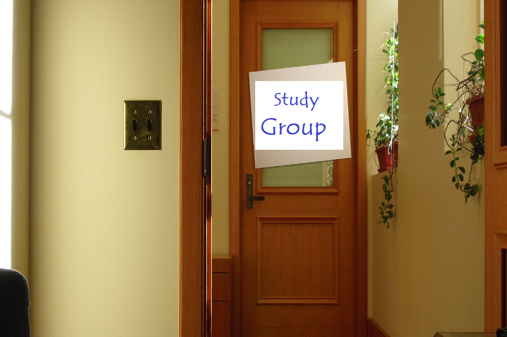 no study groups
