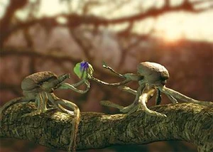 A baby squibbon passes food (a small ) to its sibling. With their stereoscopic eyes, big brains and prehensile tentacles, squibbons are the acrobats of the Northern Forest.