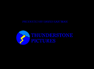 Thunderstone Pictures 1980-2009 Closing Logo