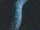 Gloomworm (SciiFii)