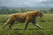 Smilodon