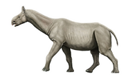 Lincoln Island Paraceratherium