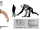 Paranthropotherium (SciiFii)