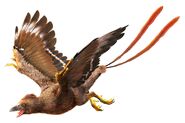 Confuciusornis