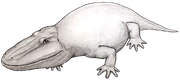 Eryops 01