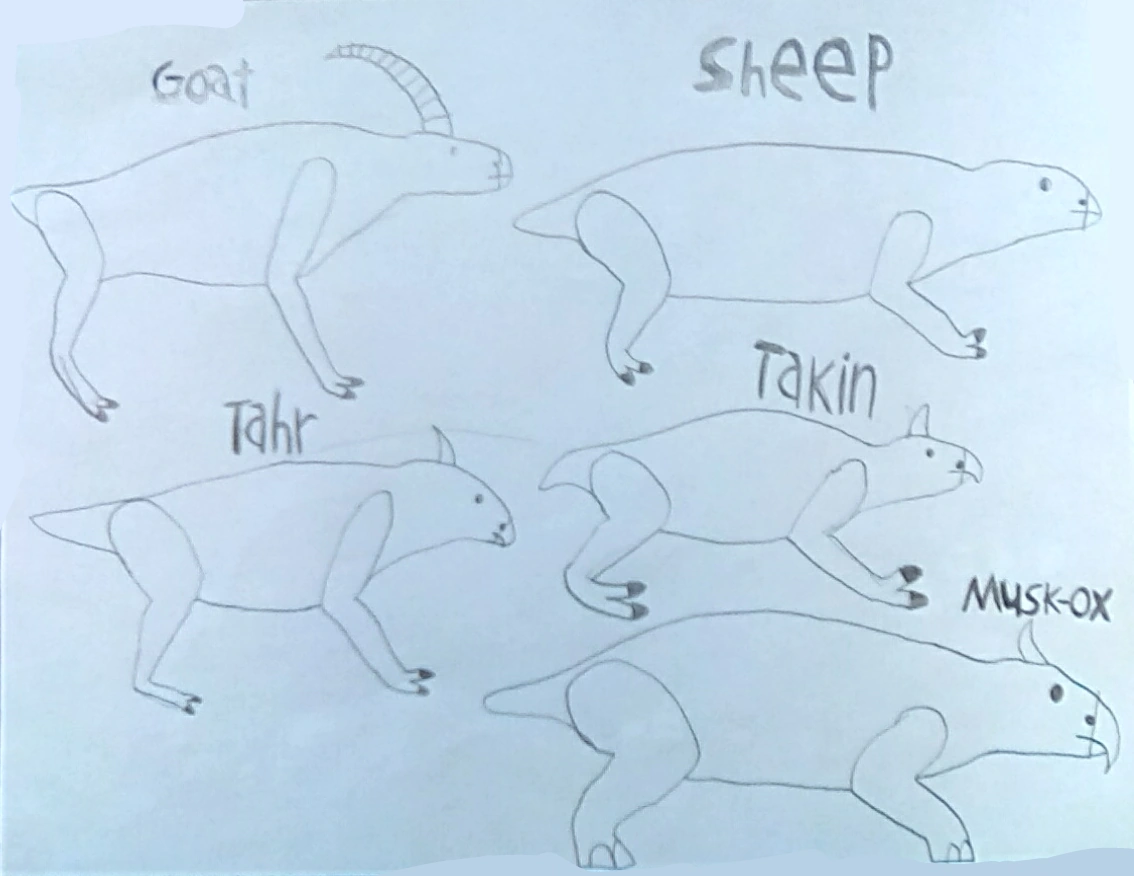 All Todays Sheep | Fanon Wiki | Fandom