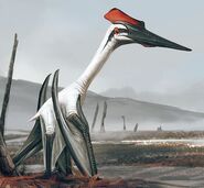 Quetzalcoatlus