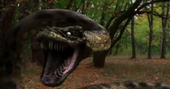 The Syfy Anaconda is a Specie of Anaconda that grows 20-44 Ft. Long. They Live in the Forests and Hunt Lake Palicid Alligators, Airapimas and Humans.