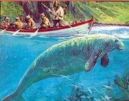 Cuesta Sea Cow appeared on the island 11,000 Years Ago.