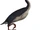 Hesperornis V2 (SciiFiii)