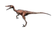 Ingen's Velociraptor
