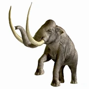 Columbian mammoth (SciiFii)