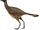 Caudipteryx (SciiFii)
