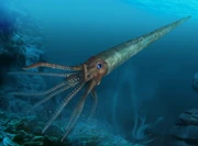 Orthoceras (SciiFii)
