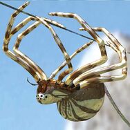 The Silver Spider is a (Almost) Sentient Spider that live and help humans. They are found in the Island andFuture Island (Were They are more common then The Island Of Death Itself.))