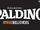 Spalding (franchise)