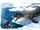 Cetaceal