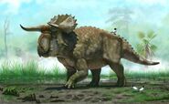 Nasutoceratops