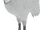 Giant polar bird (SciiFii)