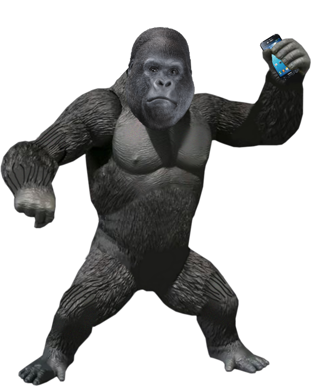 3D model Male Orangutan T-pose Fur