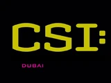 CSI: Dubai