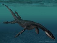 The Lariosaurus is a Species of Nothosaur found on the island and Europe.