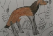 Jagerhund by jdb1992 dclk9pa-fullview
