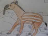 Tapirchenia