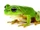 St. Leape Froge