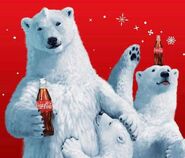 the coca cola bear