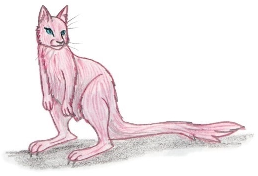 Mew (Pokémon), All Species Wiki