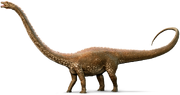 Diplodocus (SciiFii)