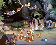 The Forest Animals