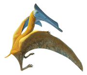 Elanodactylus (SciiFii)