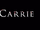 Carrie (Nikki Garcia style!)