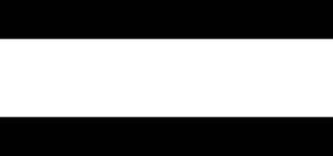 Shaar flag.png