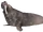 Elephant walrus (SciiFii)