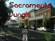 Sacramento Jungle Official Cover Art