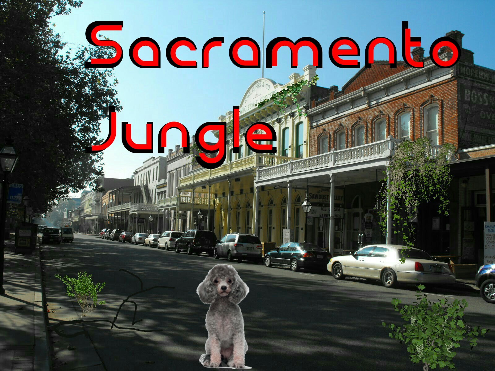 Sacramento Jungle 2016 Video Game Fanon Wiki Fandom - roblox opossum wild forest survival animals video