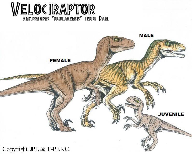 Jurassic World: Rule the Earth, Jurassic Park Fanon Wiki