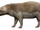Achaenodon (SciiFii)
