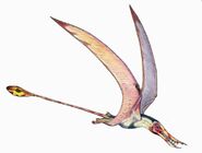 Rhamphorhynchus