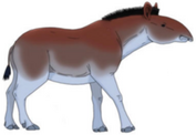 Horse tapir