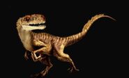 Herrerasaurus JurassicWorldDominion