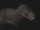 Walking with Dinosaurs-adventures animated series