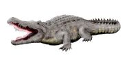 Crocodylus Anthropophagus appeared on the island.