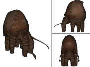 Megasquid (SciiFii)