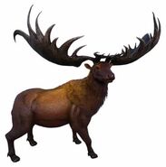 Moose-antlered deer