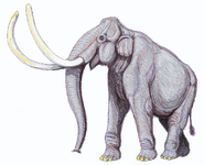 Lincoln Island mammoth